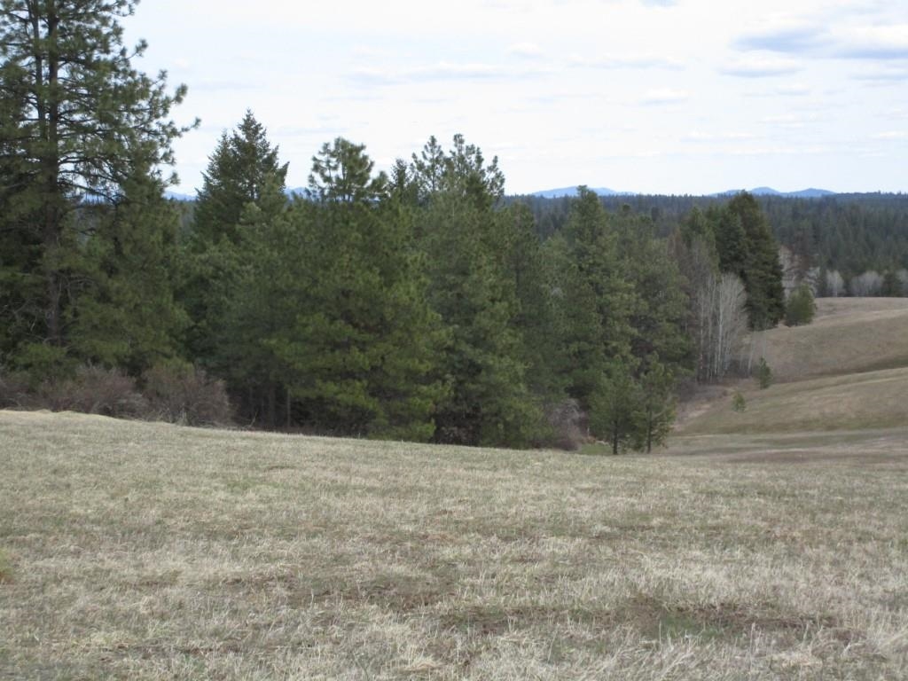 5266 Wagner Road Springdale, WA 99173 - Photo 13 of 14