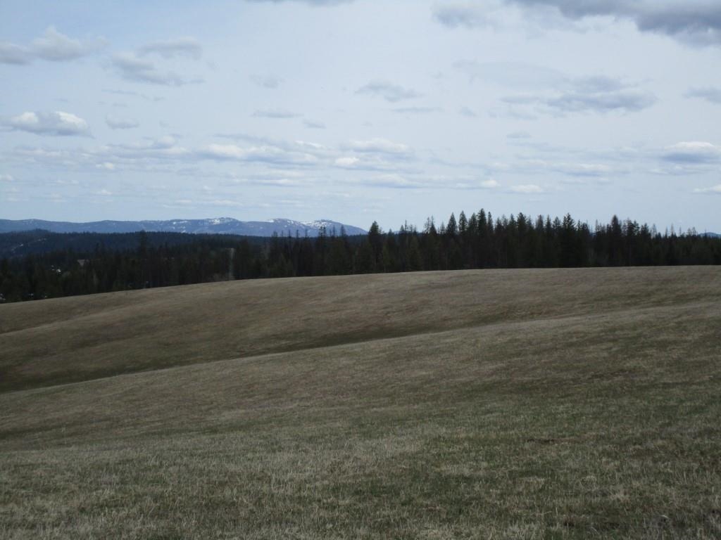 5266 Wagner Road Springdale, WA 99173 - Photo 14 of 14