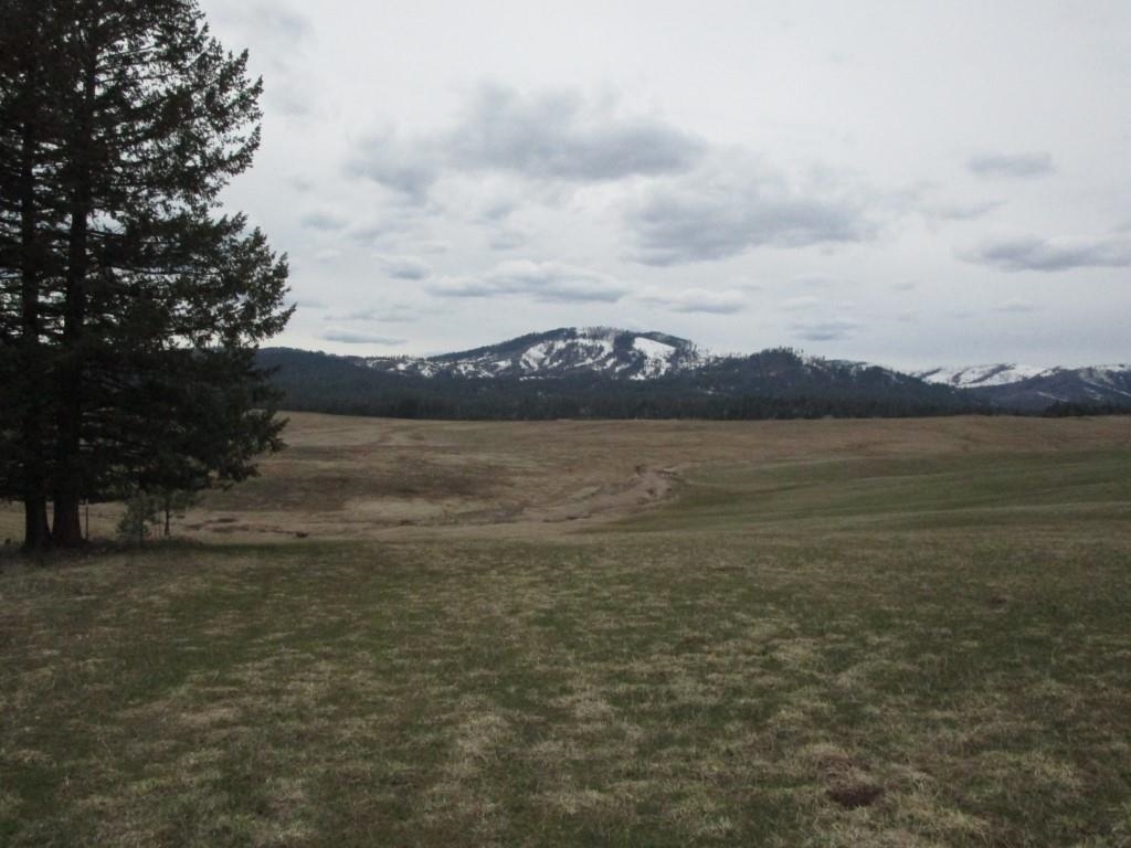 5266 Wagner Road Springdale, WA 99173 - Photo 6 of 14