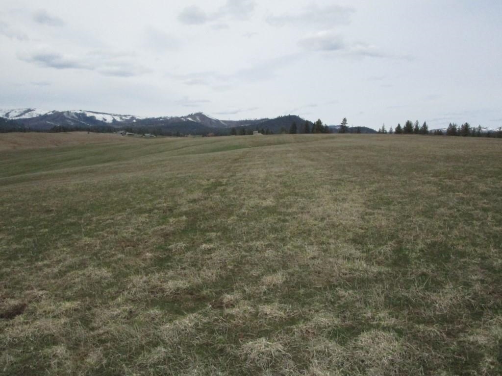 5266 Wagner Road Springdale, WA 99173 - Photo 7 of 14