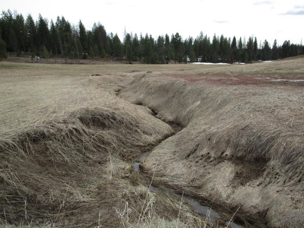 5266 Wagner Road Springdale, WA 99173 - Photo 8 of 14