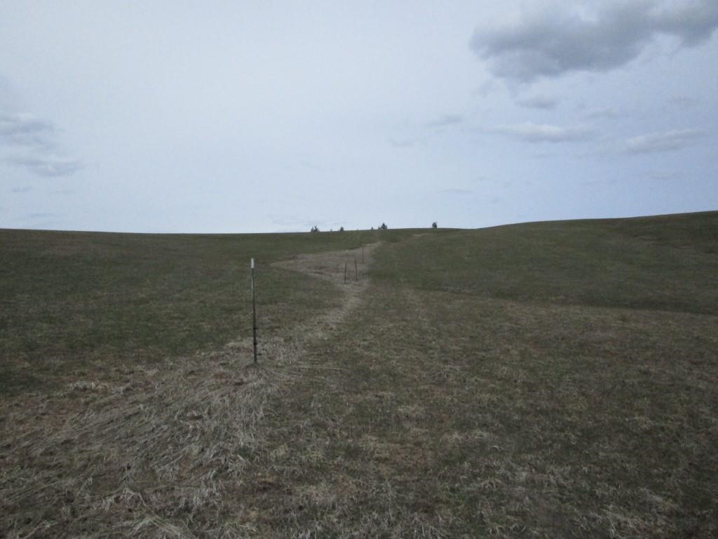 5266 Wagner Road Springdale, WA 99173 - Photo 10 of 14