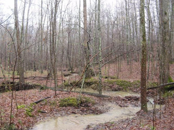 2800 East Fork Road Means, KY 40346 - Photo 22 of 22 Photo 22