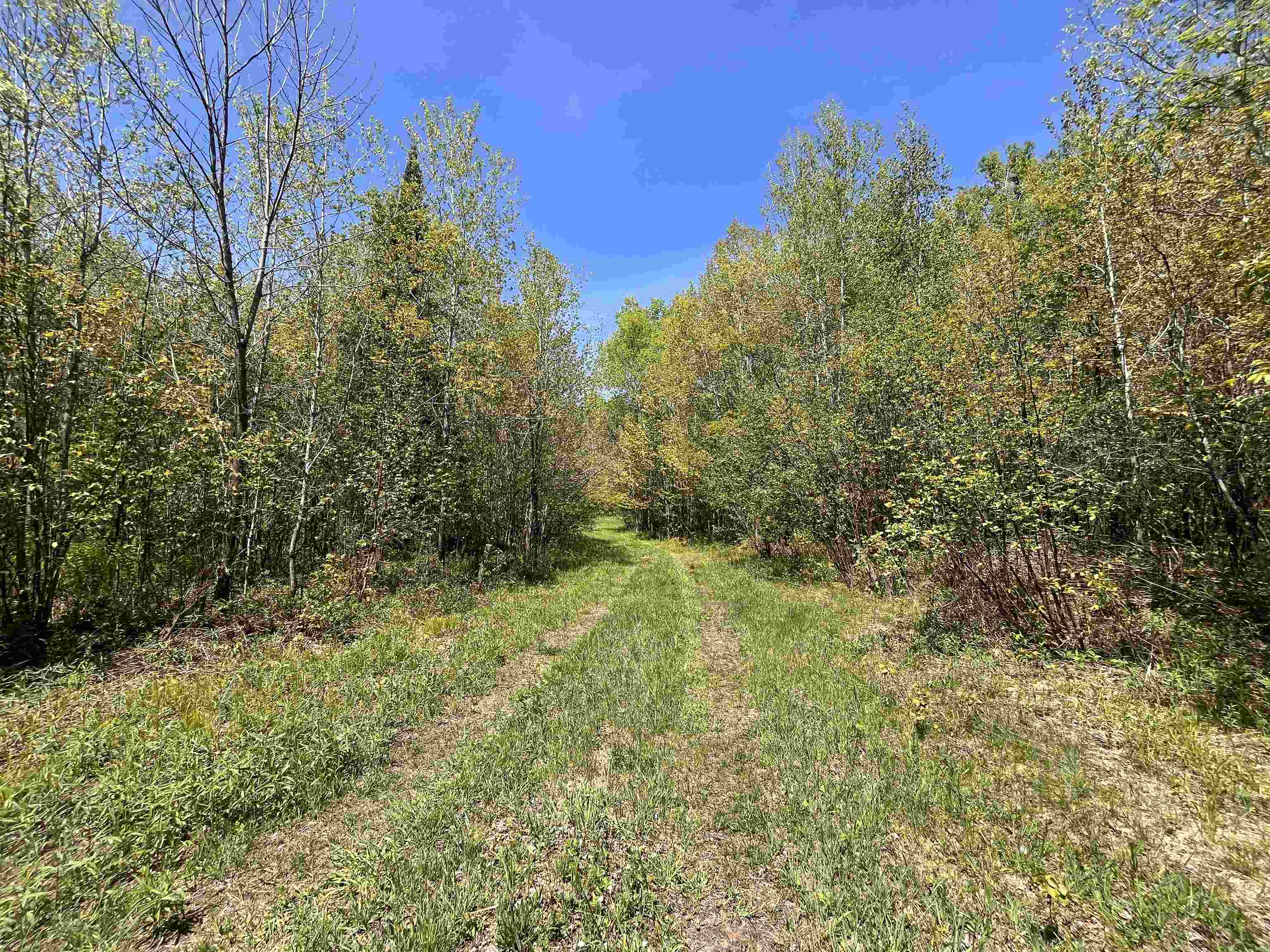 80-acres 80-acres Clausen Road Prentice, WI 54556 - Photo 13 of 17