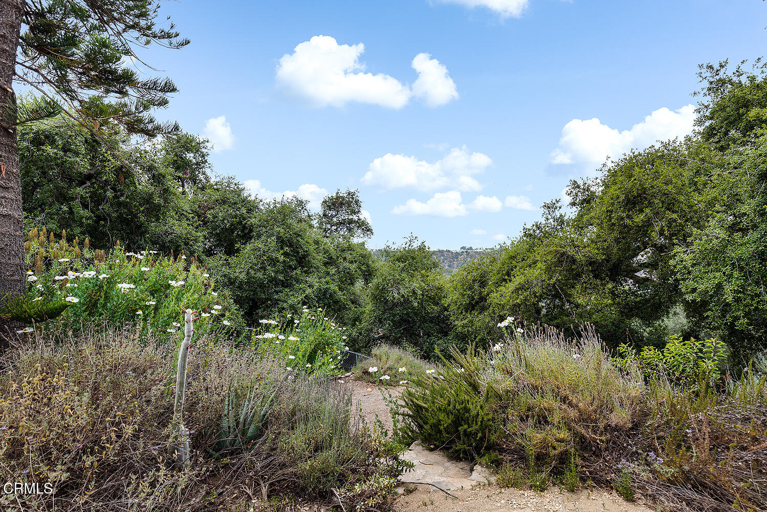 4155 Aralia Road Altadena, CA 91001 - Photo 37 of 40 a view of a lake in between the bunch of trees