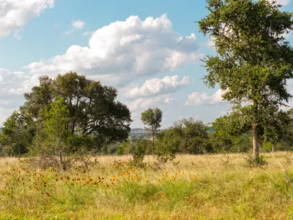 $850,000 | Lot 11 Maddalena Lane, Dripping Springs, TX 78620