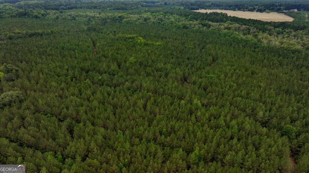 0 Highway 204 & Carlos Cowart Road Pembroke, GA 31321 - Photo 27 of 47