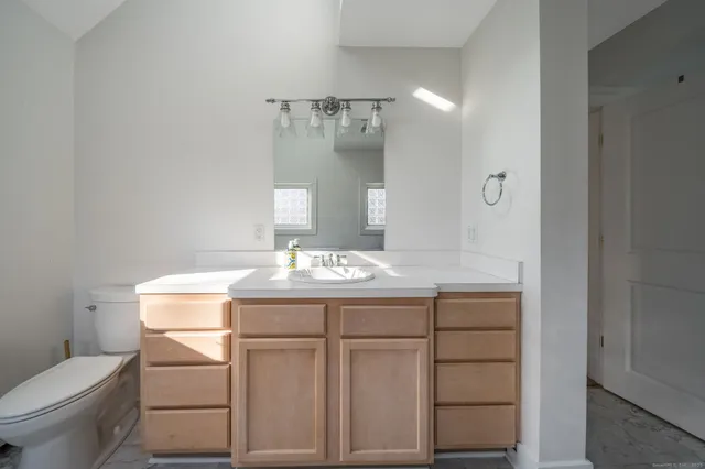 a bathroom with a sink toilet vanity and mirror