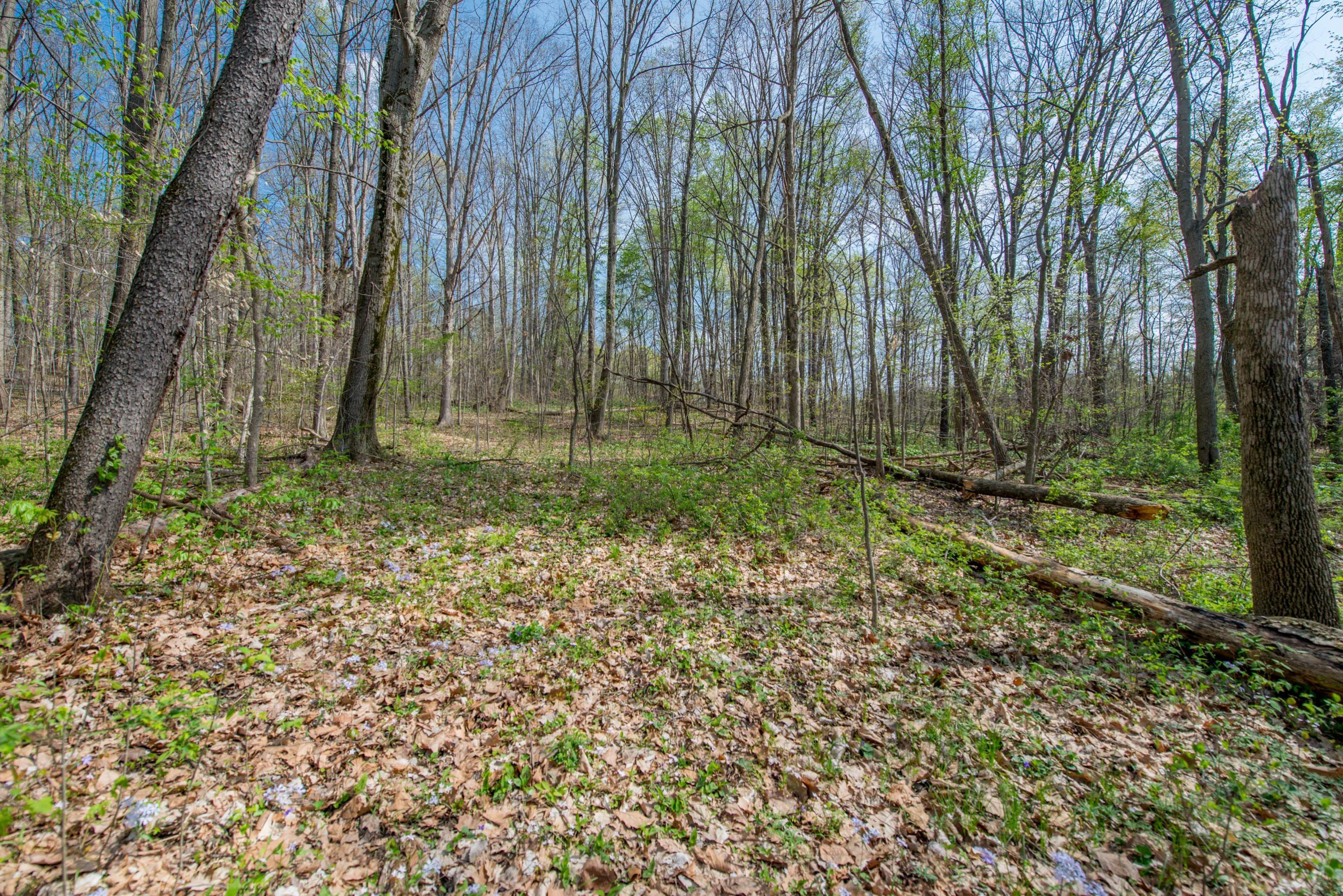 7491 Blacks Road Southwest Pataskala, OH 43062 - Photo 28 of 52