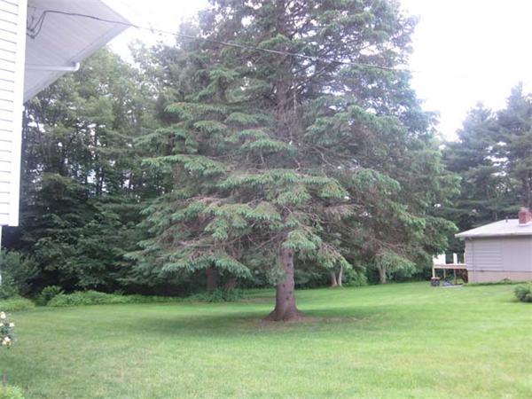 21 Linda Road Andover, MA 01810 - Photo 11 of 12