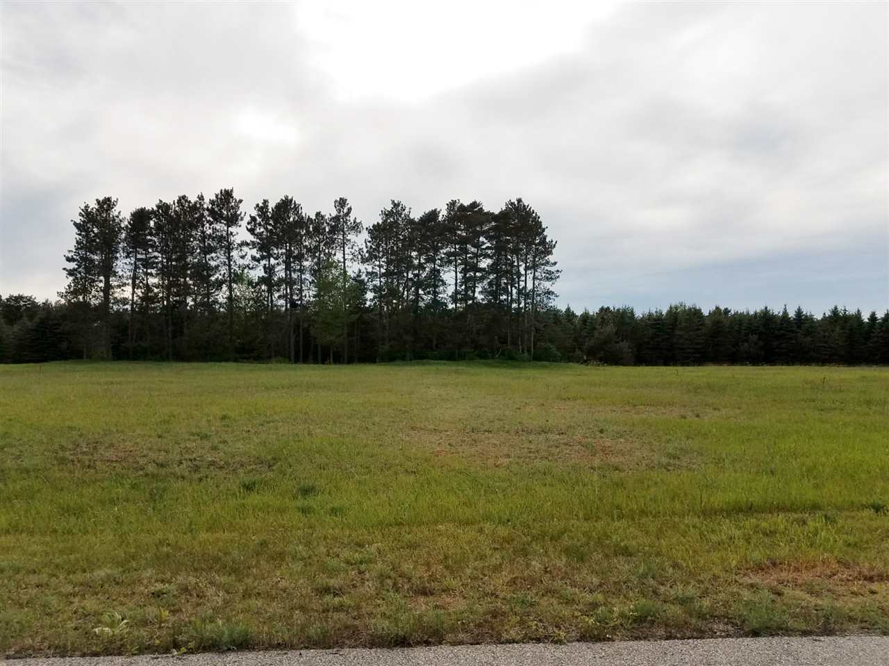 18 Lipp Farm Road, Unit LOT: 18 Benzonia, MI 49616 - Photo 5 of 13