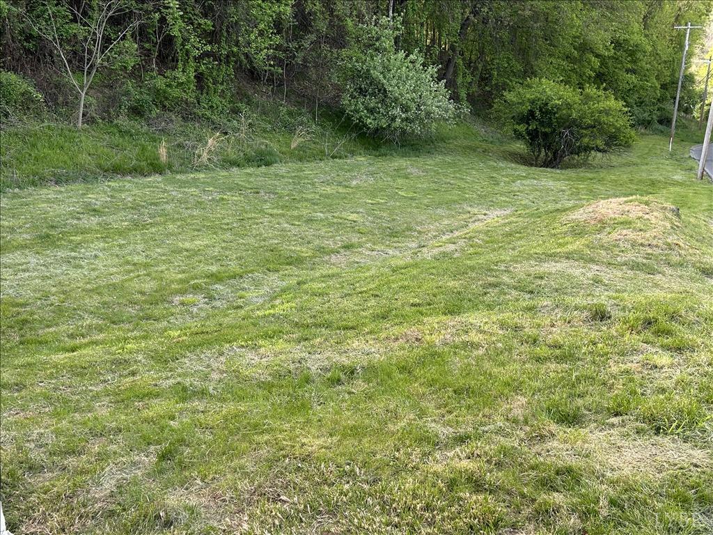 207 Winston Ridge Road Lynchburg, VA 24501 - Photo 5 of 24