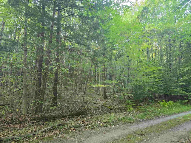 $125,000 | 0 Thayer Road, Unit 1 2 & 3, Bellows Falls, VT 05101