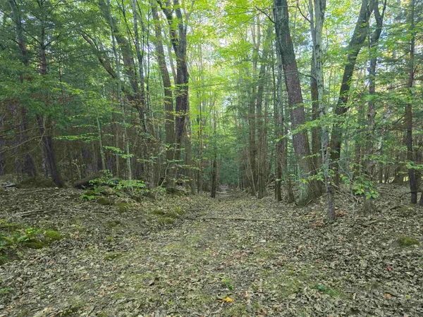 $125,000 | 0 Thayer Road, Unit 1 2 & 3, Bellows Falls, VT 05101