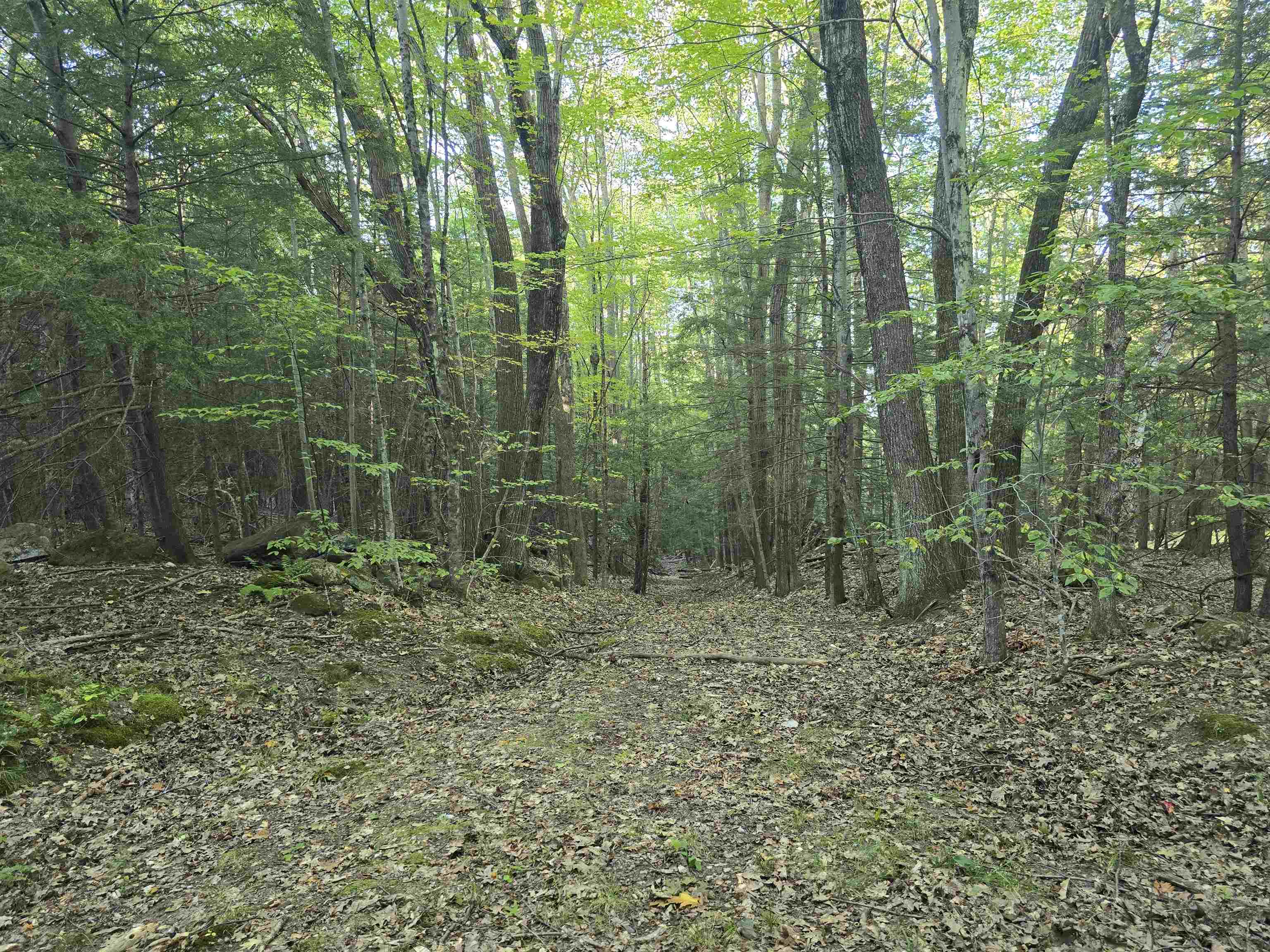 0 Thayer Road, Unit 1 2 & 3 Bellows Falls, VT 05101 - Photo 12 of 12