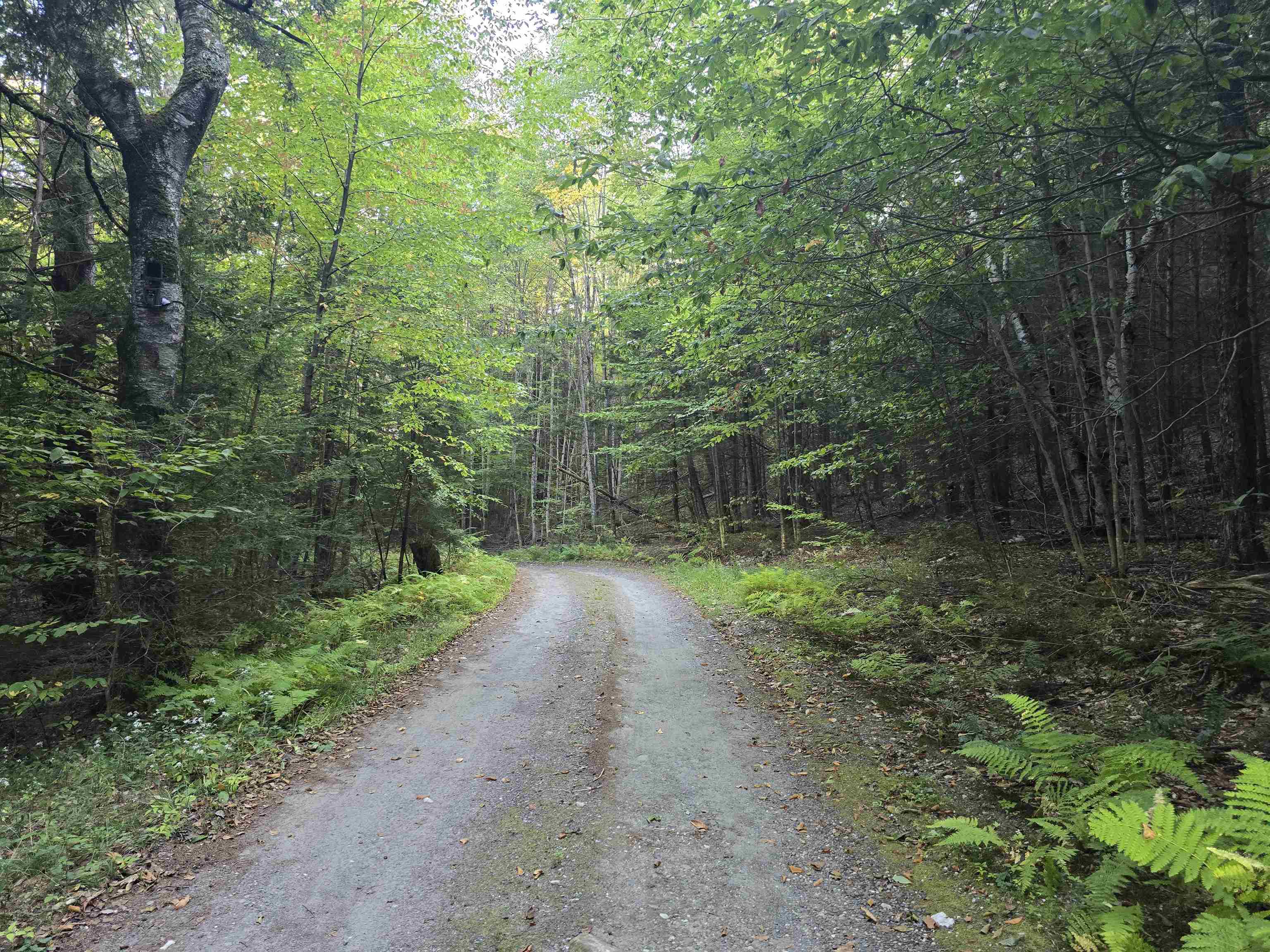 0 Thayer Road, Unit 1 2 & 3 Bellows Falls, VT 05101 - Photo 2 of 12