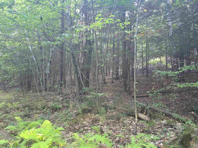 $125,000 | 0 Thayer Road, Unit 1 2 & 3, Bellows Falls, VT 05101