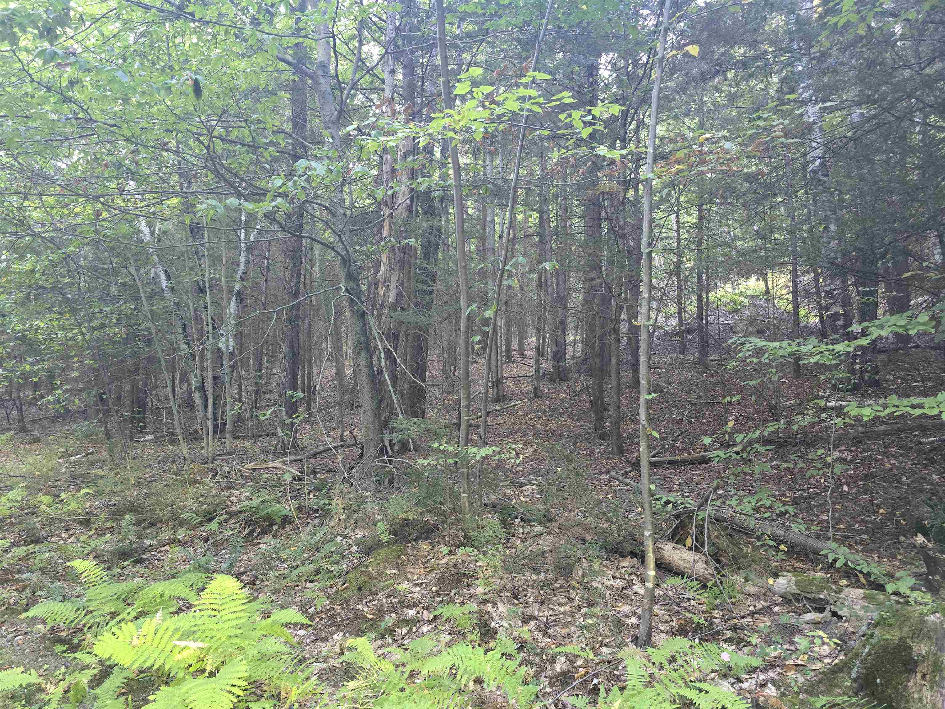 0 Thayer Road, Unit 1 2 & 3 Bellows Falls, VT 05101 - Photo 4 of 12