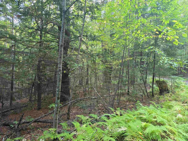 $125,000 | 0 Thayer Road, Unit 1 2 & 3, Bellows Falls, VT 05101