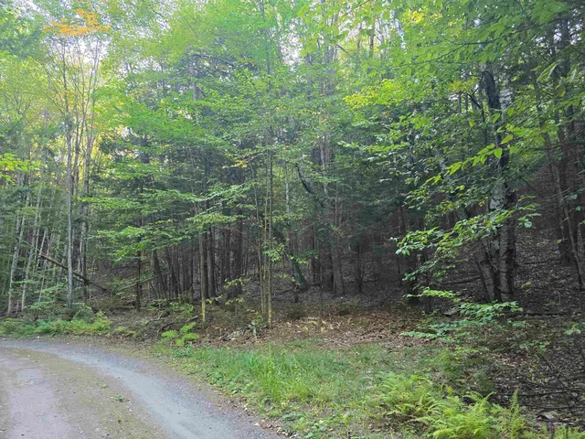 $125,000 | 0 Thayer Road, Unit 1 2 & 3, Bellows Falls, VT 05101