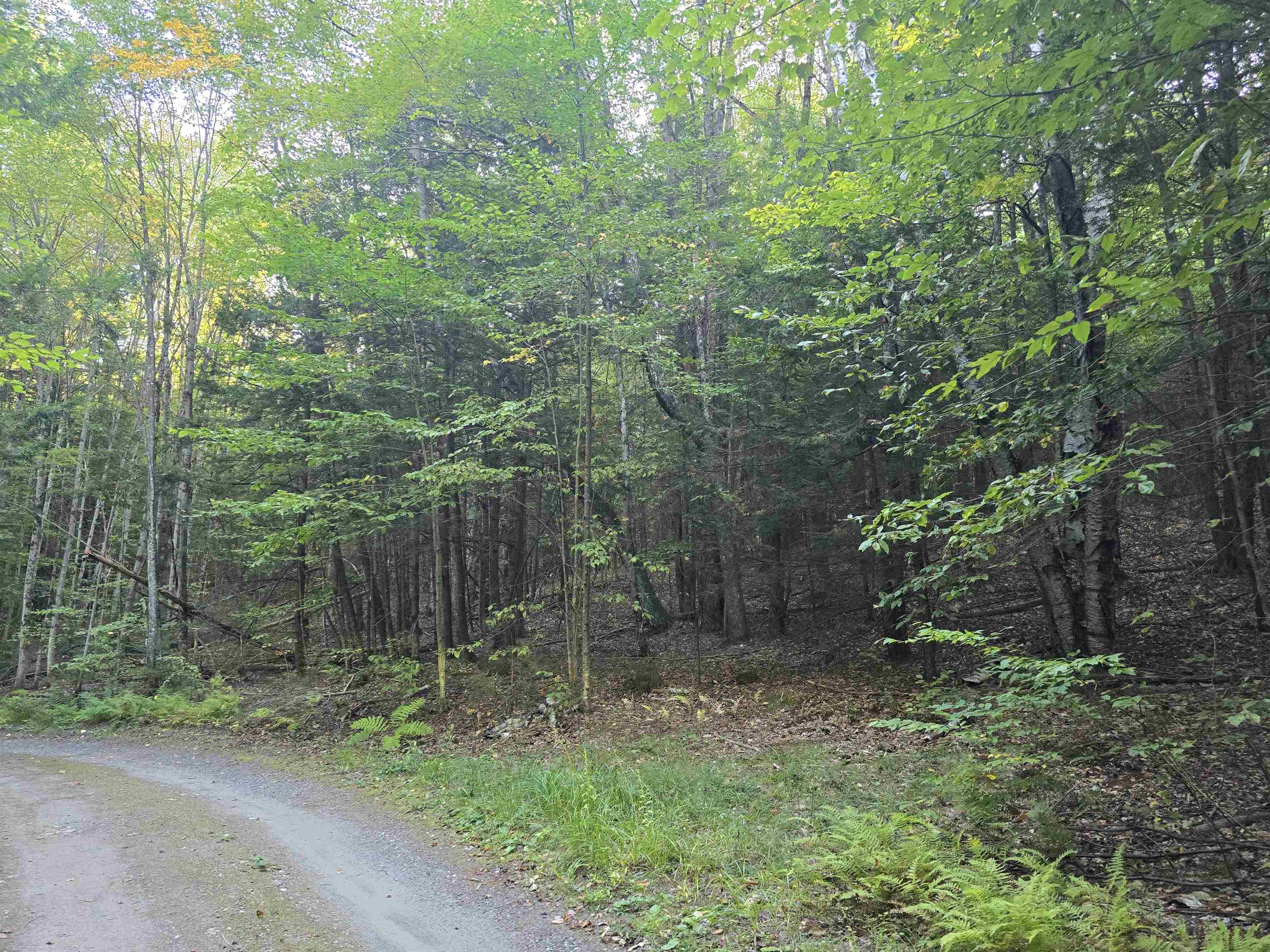 0 Thayer Road, Unit 1 2 & 3 Bellows Falls, VT 05101 - Photo 6 of 12