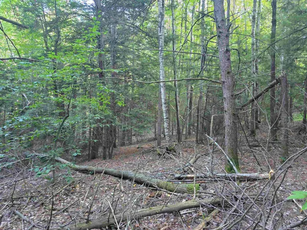 $125,000 | 0 Thayer Road, Unit 1 2 & 3, Bellows Falls, VT 05101