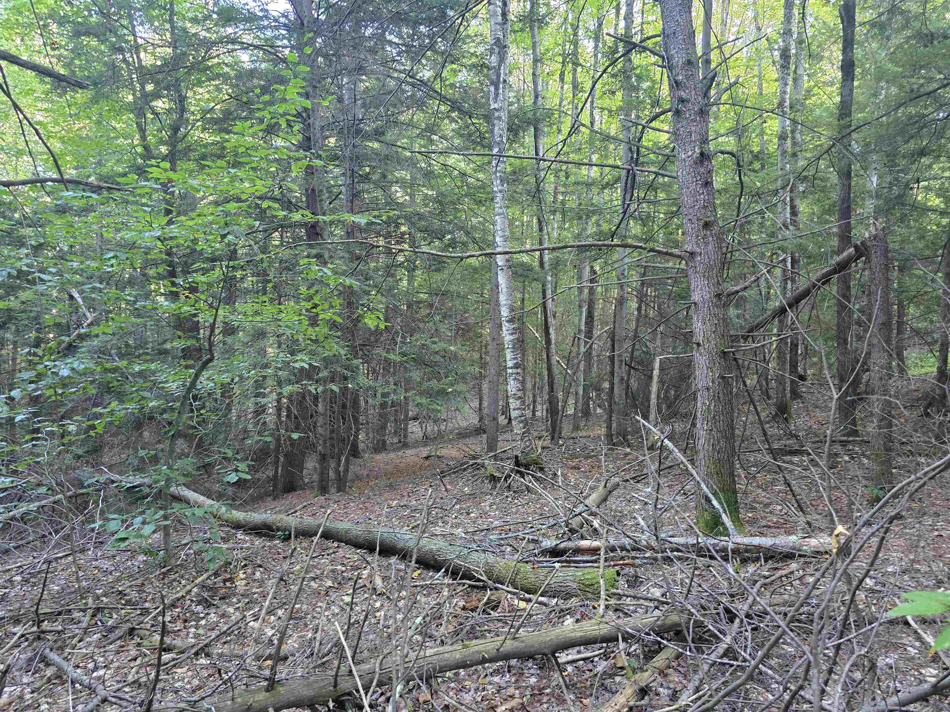 0 Thayer Road, Unit 1 2 & 3 Bellows Falls, VT 05101 - Photo 7 of 12