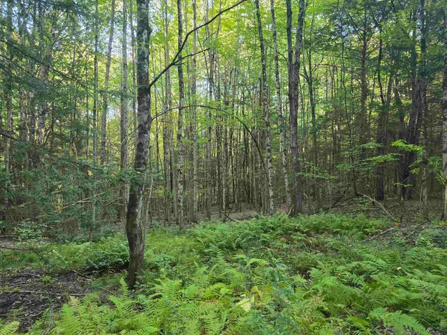 $125,000 | 0 Thayer Road, Unit 1 2 & 3, Bellows Falls, VT 05101