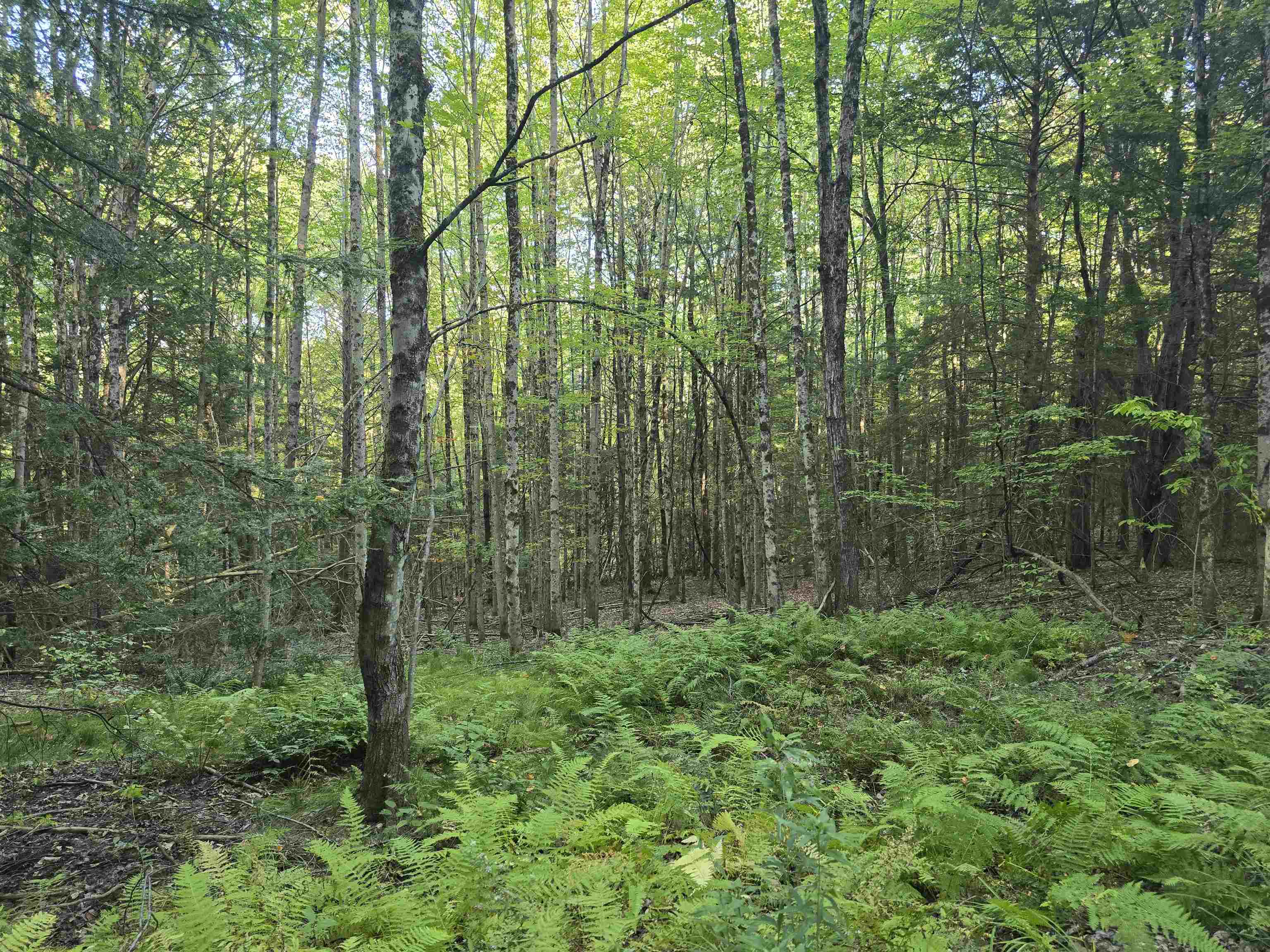 0 Thayer Road, Unit 1 2 & 3 Bellows Falls, VT 05101 - Photo 8 of 12