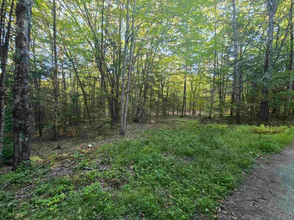 $125,000 | 0 Thayer Road, Unit 1 2 & 3, Bellows Falls, VT 05101