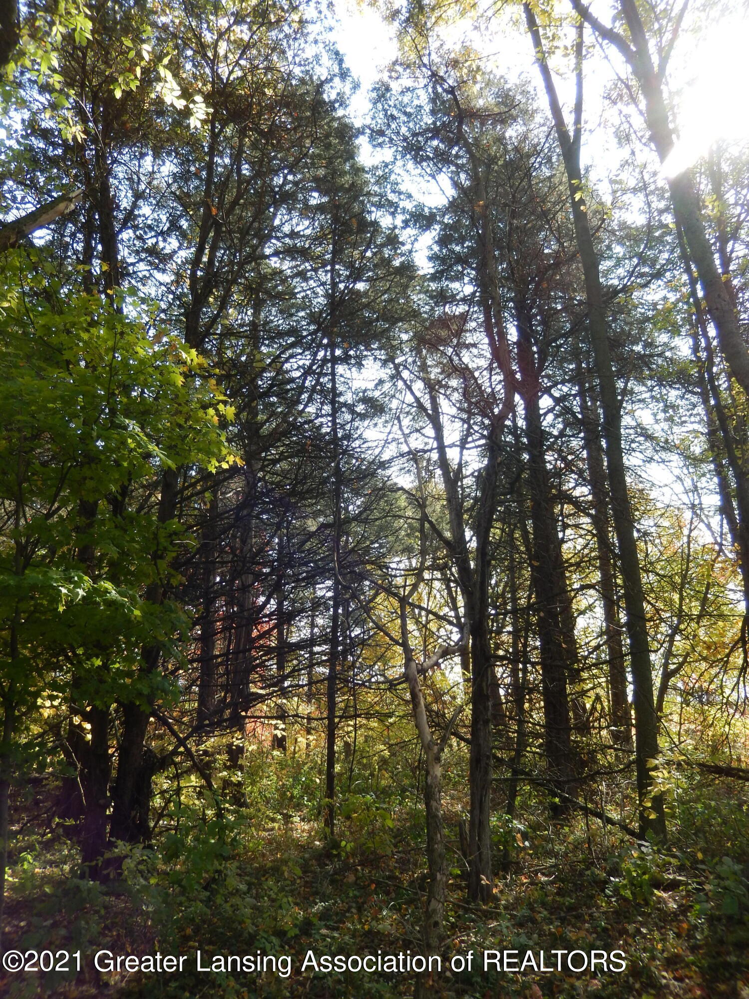 7248 Cedar Ridge Drive Portland, MI 48875 - Photo 14 of 17 Lot 12-3