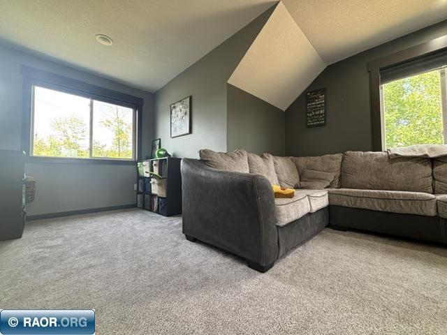 3454 Anderson Road Hibbing, MN 55746 - Photo 21 of 31 Gallery Image 21