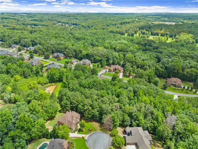 a view of a lush green forest from a outdoor space