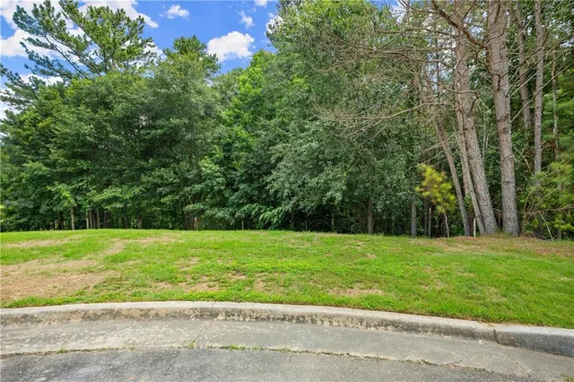 a view of a grassy field