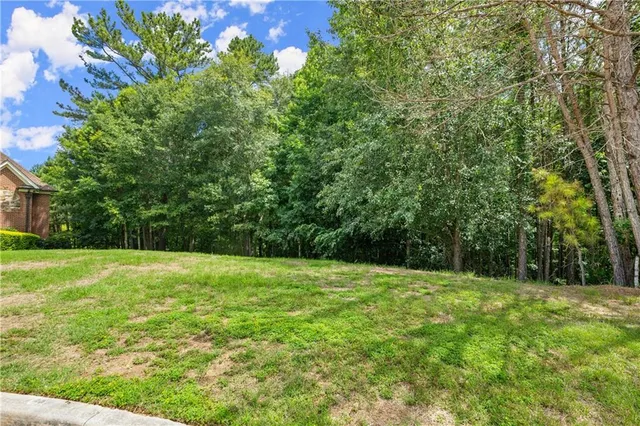 a view of outdoor space with a garden and trees