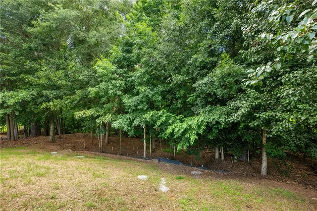 a view of a backyard with a trees