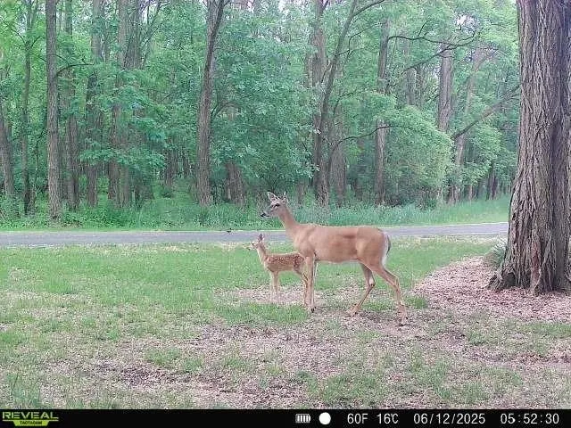 $695,000 | W2948 County Rd C, Montello, WI 53949