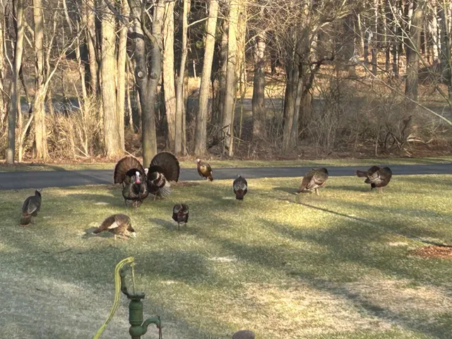 $695,000 | W2948 County Rd C, Montello, WI 53949