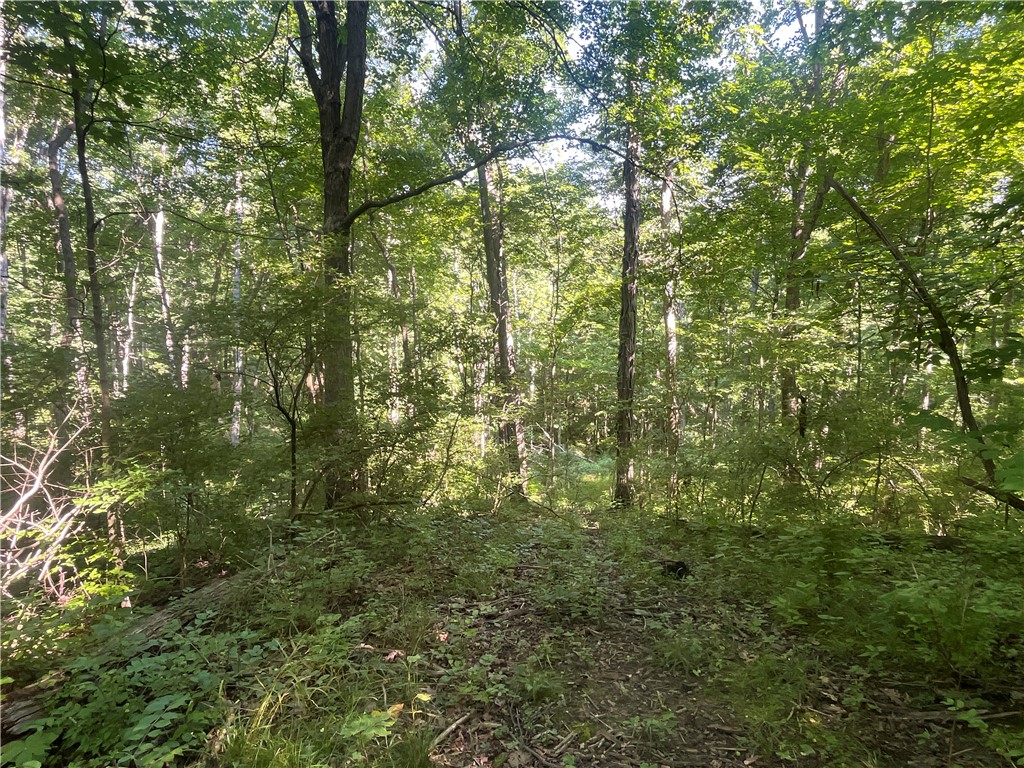 0 Stephen Young Road Camden, OH 45311 - Photo 39 of 57