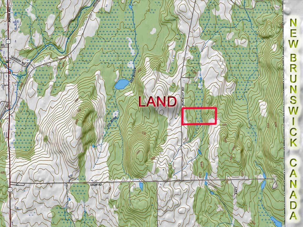 Lot 10 Buckley Road Bridgewater, ME 04735 - Photo 27 of 41 bridgewater-land-20-acres-u