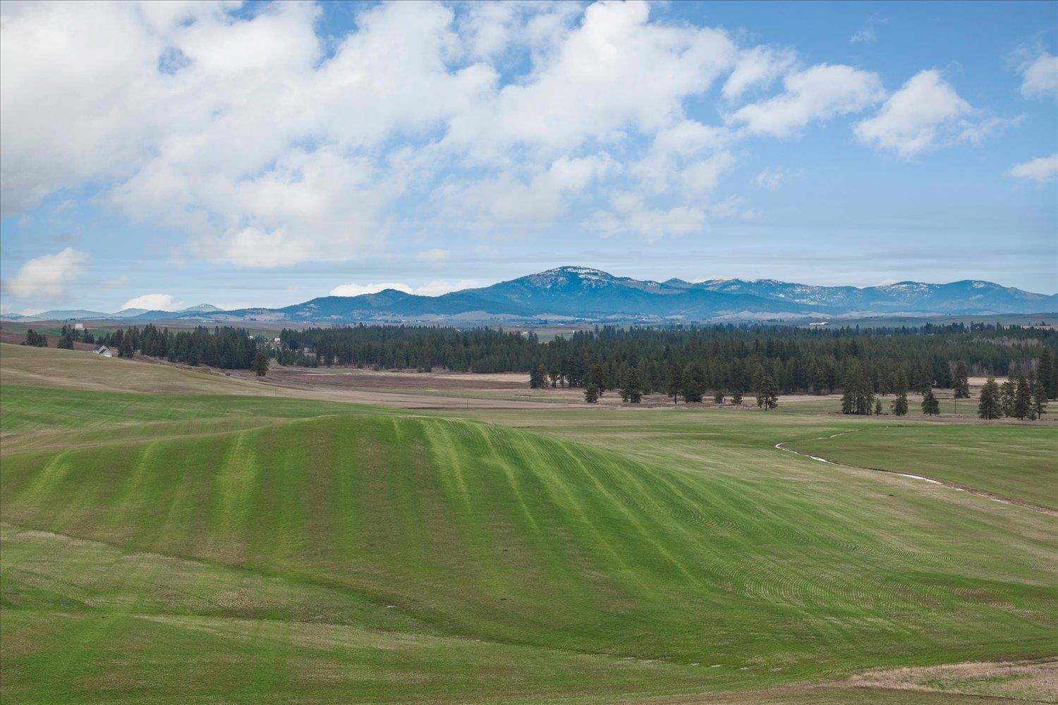 Nka Nka Unassigned Address Road Rosalia, WA 99170 - Photo 19 of 34