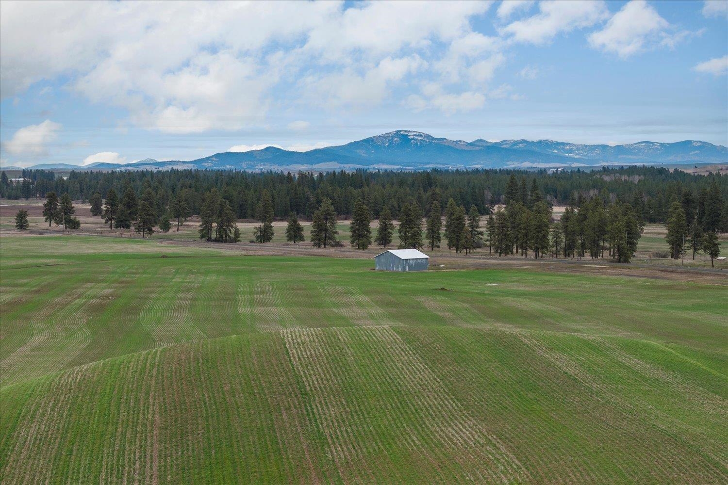 Nka Nka Unassigned Address Road Rosalia, WA 99170 - Photo 21 of 34