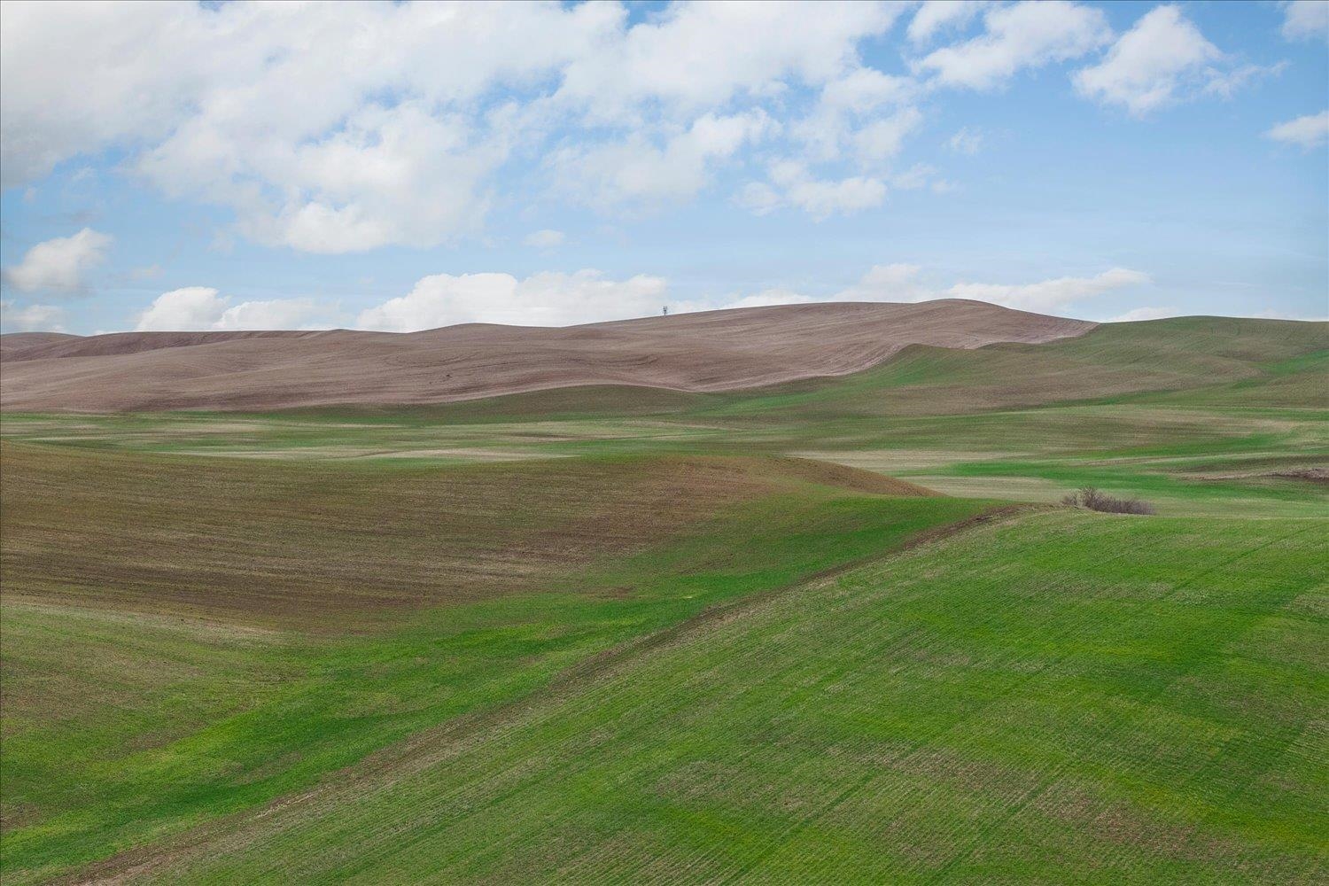 Nka Nka Unassigned Address Road Rosalia, WA 99170 - Photo 26 of 34