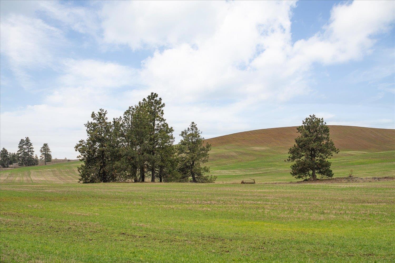 Nka Nka Unassigned Address Road Rosalia, WA 99170 - Photo 3 of 34
