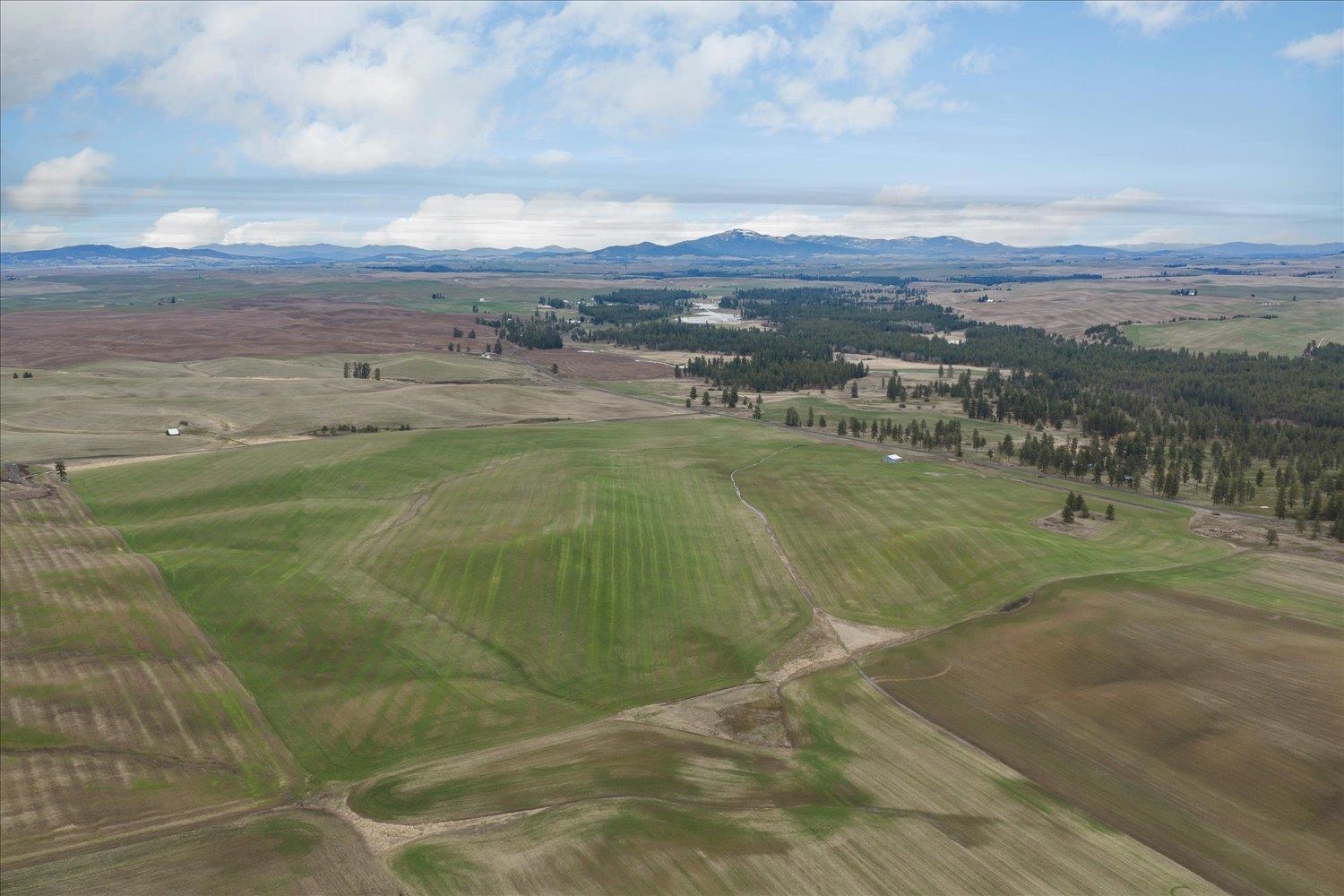 Nka Nka Unassigned Address Road Rosalia, WA 99170 - Photo 4 of 34