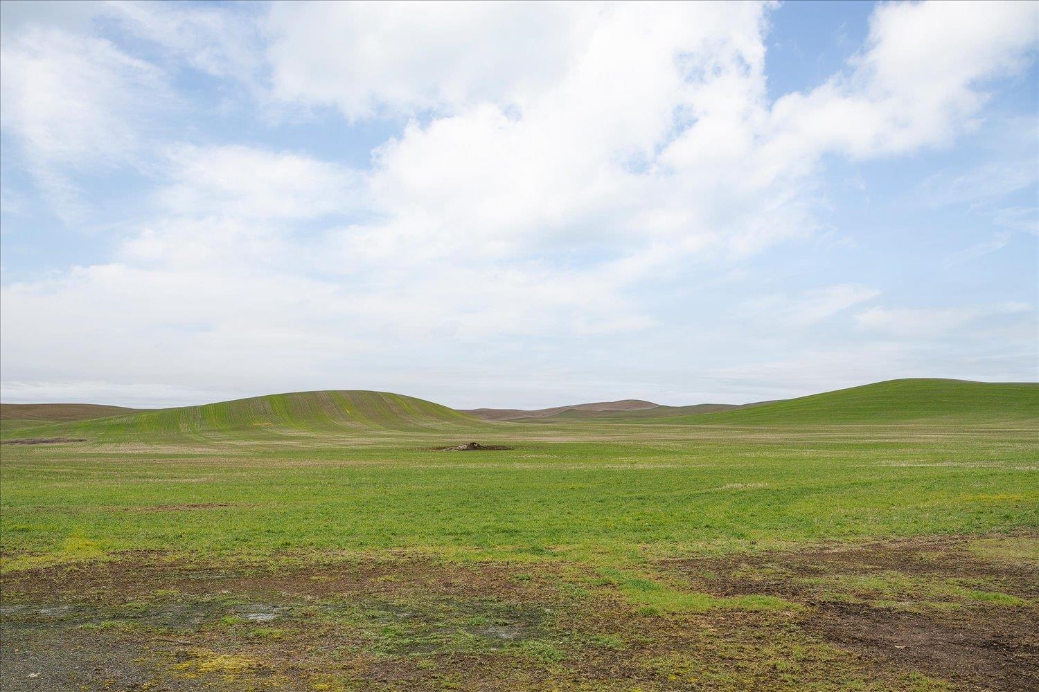 Nka Nka Unassigned Address Road Rosalia, WA 99170 - Photo 5 of 34