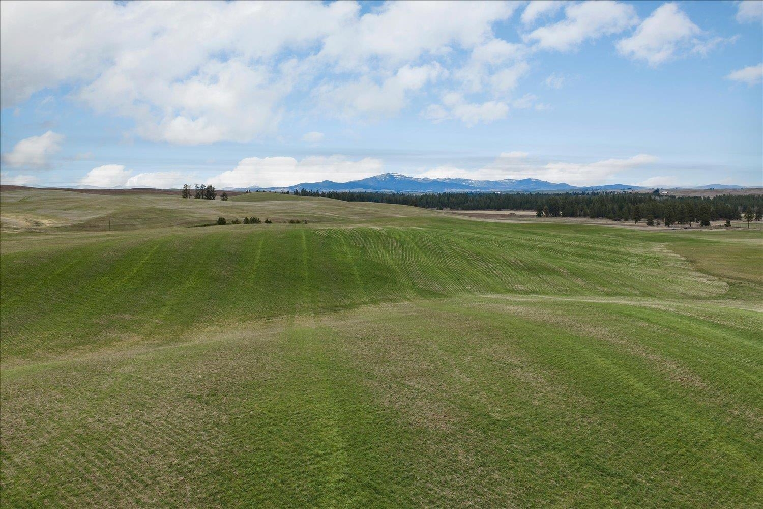 Nka Nka Unassigned Address Road Rosalia, WA 99170 - Photo 6 of 34