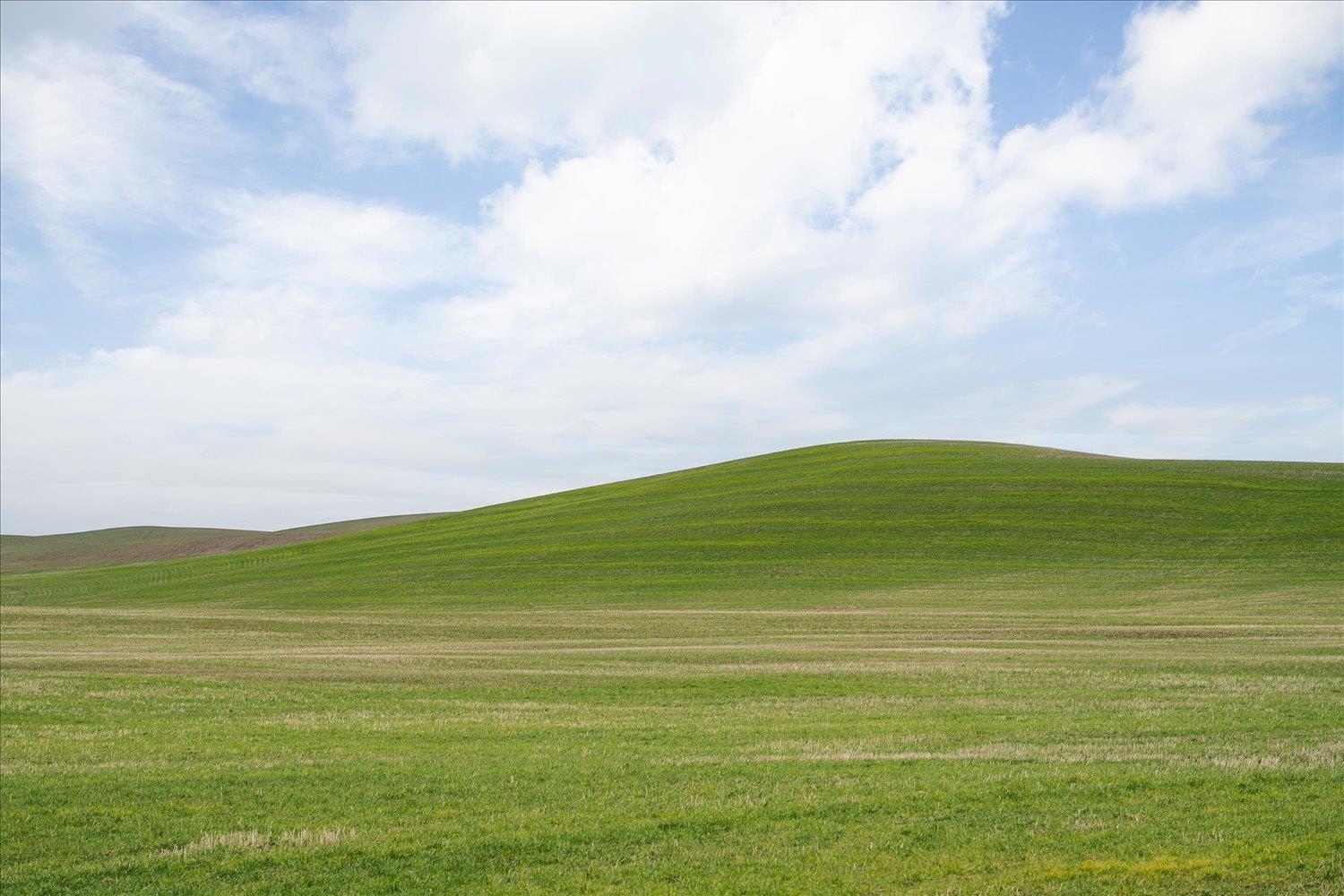 Nka Nka Unassigned Address Road Rosalia, WA 99170 - Photo 8 of 34