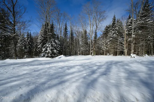 $259,900 | 0 Nys Route, Minerva, NY 12851