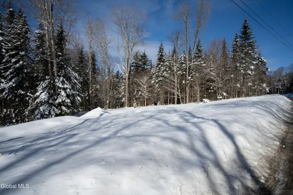 $259,900 | 0 Nys Route, Minerva, NY 12851